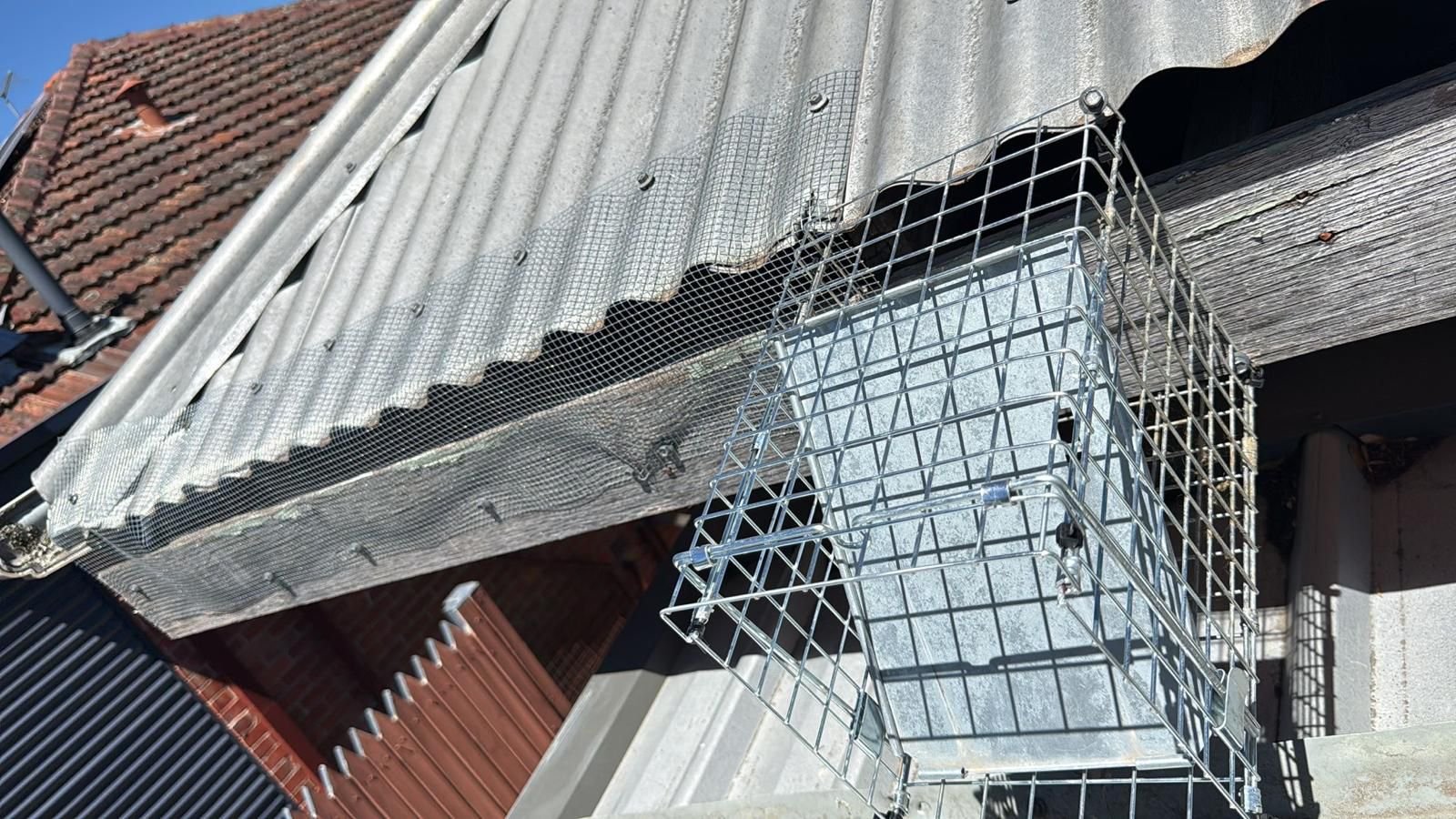 Custom one-way possum door installation